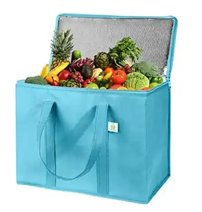 Non-Woven Cooler Bag