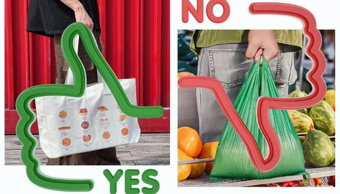took a reusable bag to the grocery store