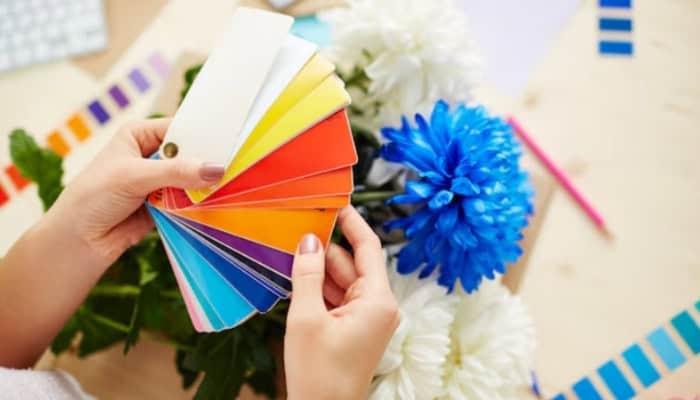 Pantone is used in offset printing