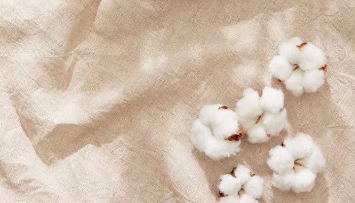 is cotton biodegradable