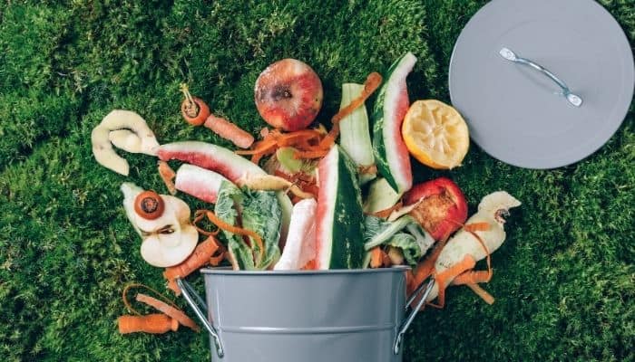 biodegradable materials