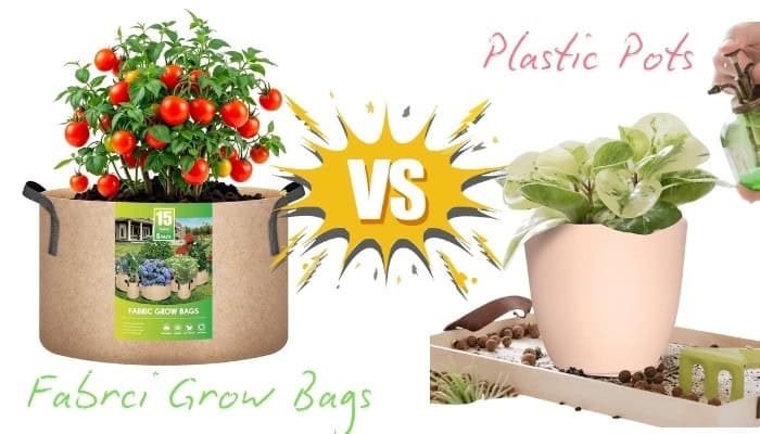 grow bags vs. plastic pots
