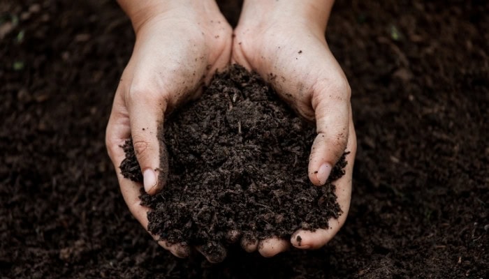 soil health