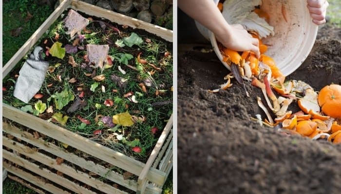 biodegradable waste materials