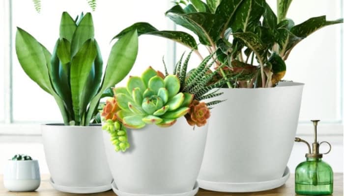 what is plastic pots