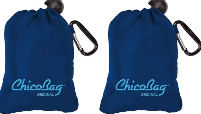 Foldable Chico Bags