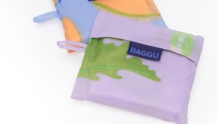Trendy and cute Baggu bag