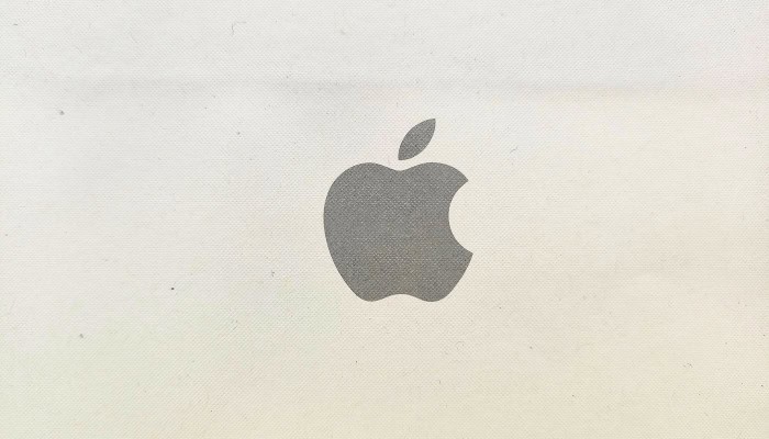apple paper bag logo