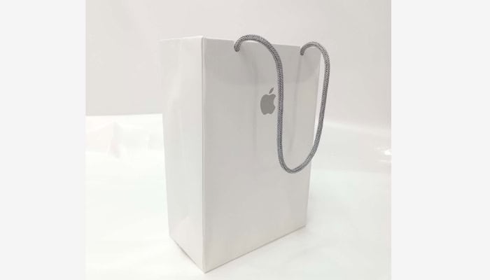 apple paper bag