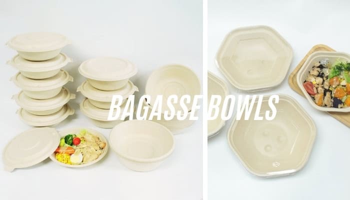 bol de bagasse