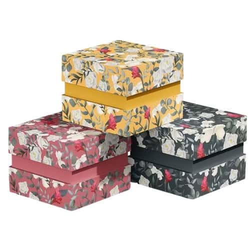 Square Shoulder Neck Box